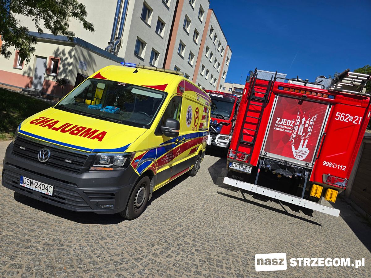 Popołudniowa interwencja strażaków na ul. Kochanowskiego w Strzegomiu 
